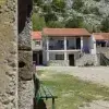 Dragica M.