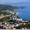 Mišo K.