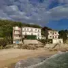 Dominko D.