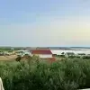 Ante Š.