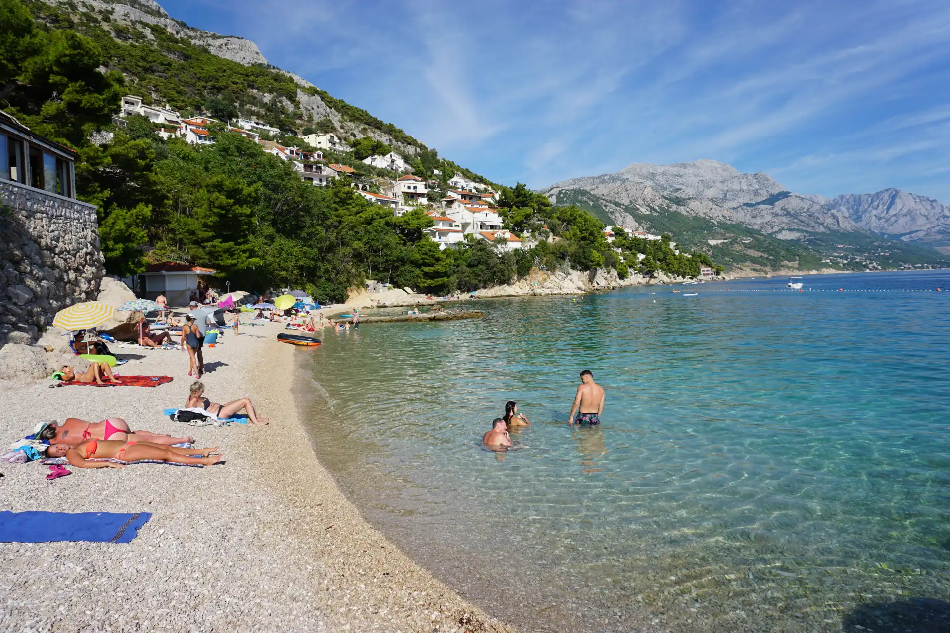 Mago  - Laganini.com maskota