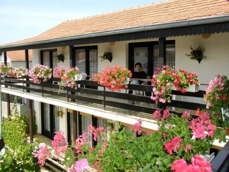 Rooms Vila Mautner Vodice, Croatia