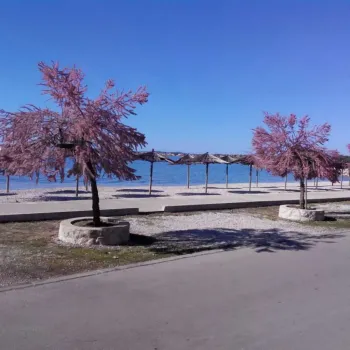 Apartment Elena Vir Vir, Croatia