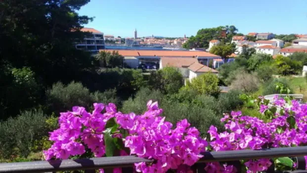 Appartements Frigo-Arba Rab - Rab, Croatie