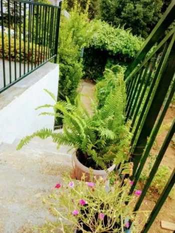 Apartamenty Milena - Srima Srima, Chorwacja