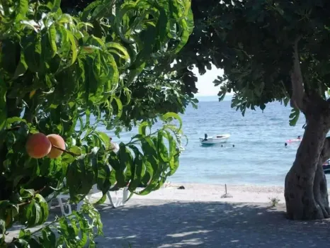 Appartementen Antonia Podstrana, Kroatie