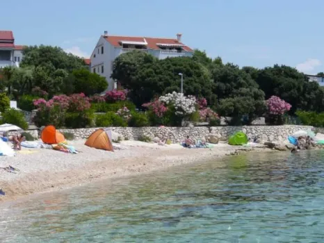 Apartmaji Mia Mandre Pag - Kolan i Mandre, Hrvaška