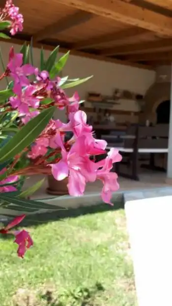 Apartments Skočić - Vodice | Laganini.com