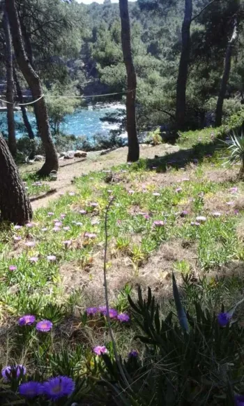 Apartmán Sara Hvar - Jelsa, Chorvatsko