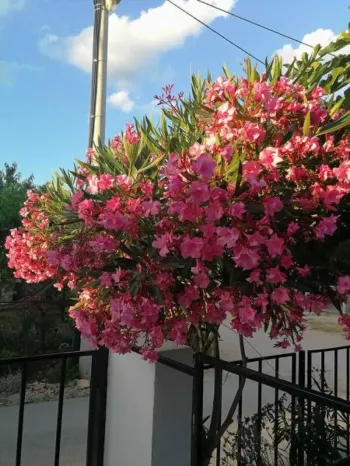 Appartamenti Stella Maris Karin, Croazia