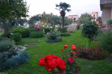 Apartmani Punta Sukošan, Hrvatska