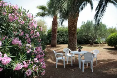 Apartments Vila Palma Brač - Sutivan, Croatia