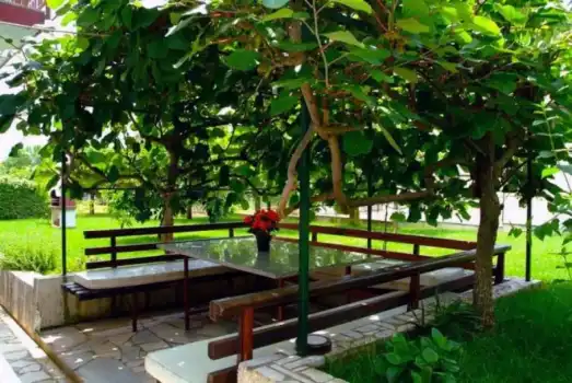 Apartments Marko Novigrad - Novigrad | Laganini.com