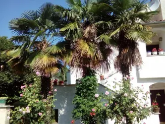 Apartamenty Hrastić Poreč, Chorwacja