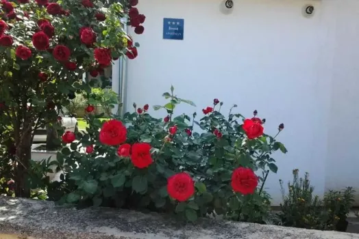 Appartementen Cerin Rovinj, Kroatie