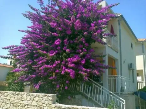 Ferienwohnungen Bugevila Ražanj, Kroatien