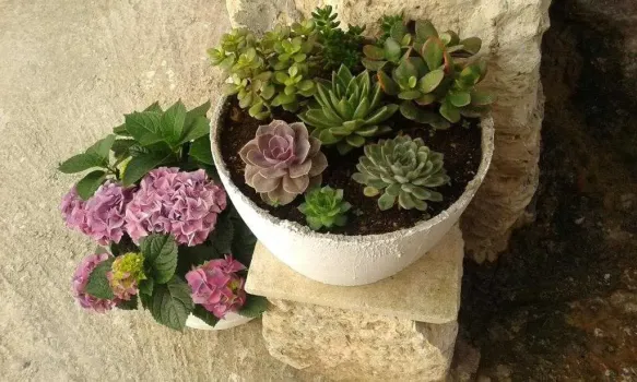 Feriehus Lučica Brač - Sutivan, Kroatia