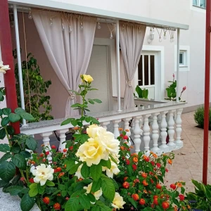 Apartments Pešić – Vodice