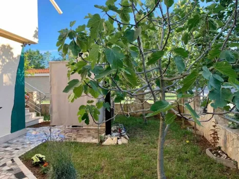 Apartamenty Thalassa Privlaka, Chorwacja