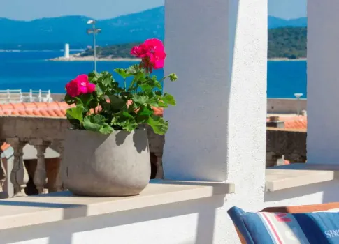 Appartement Betina Inn Murter - Betina, Croatie