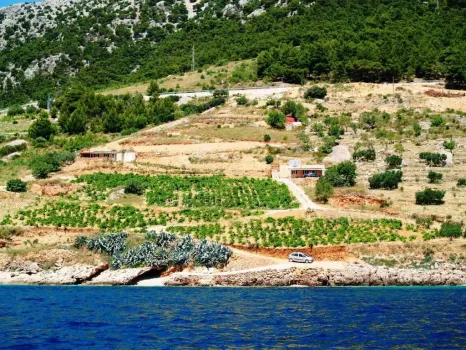Robinson turizmus Welnes robinzon Vranina Brač - Bol, Horvátország
