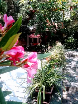 Apartman Danica Makarska, Hrvatska