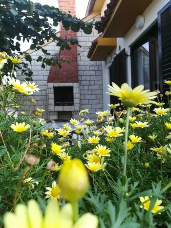 Apartmanok Eliva Umag, Horvátország