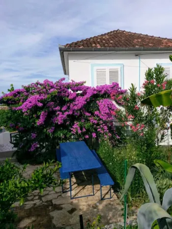 Apartments Marija-Tkon Pašman - Tkon, Croatia