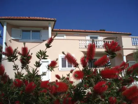 Apartments Matić Ugljan - Preko, Croatia