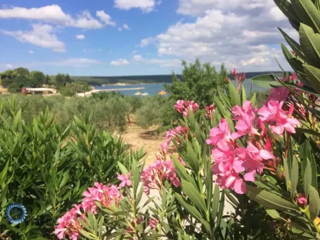 Apartamenty Iva Karin, Chorwacja