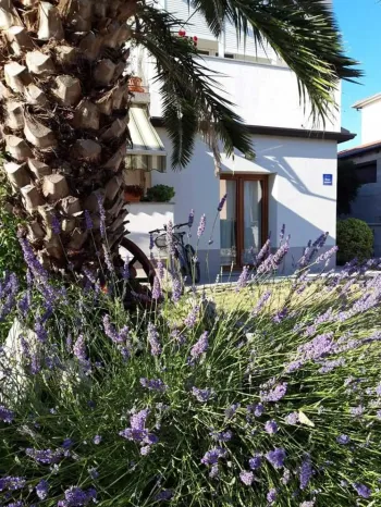 Appartamento Sweet corner Rovigno, Croazia