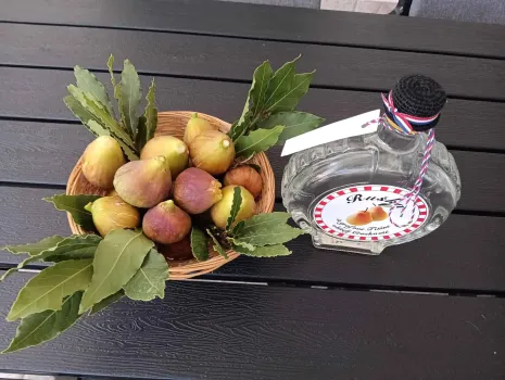 Apartmán Josip - Vir | Laganini.com