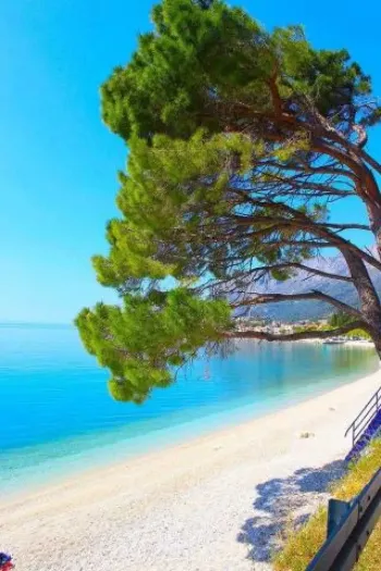 Appartements Helena Gradac, Croatie