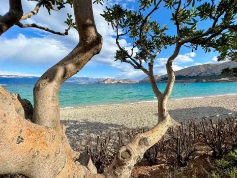 Appartement Art Suite Jurandvor Krk - Baška, Croatie