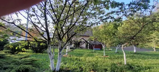 Holiday homes Silver pine Ogulin, Croatia