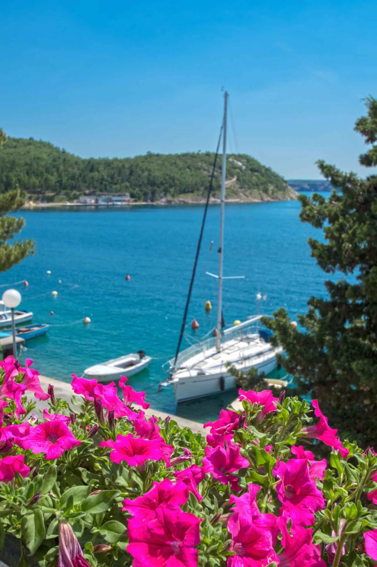 Apartments Viktoria Jadranovo, Croatia