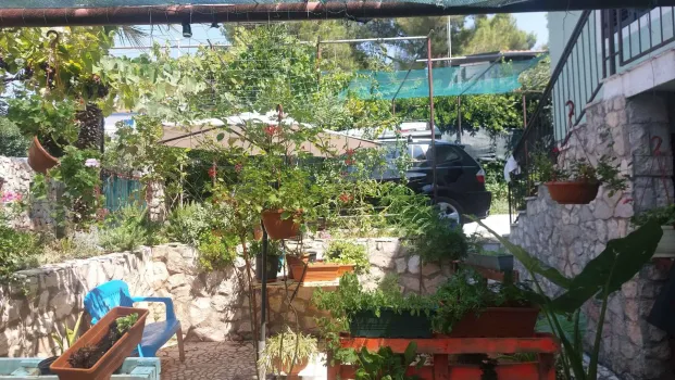 Ferienwohnung Green paradise Lošinj - Mali Lošinj, Kroatien