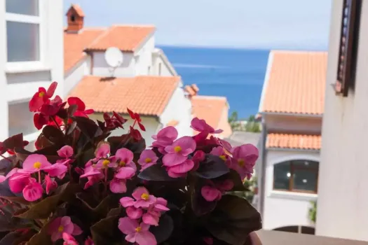 Apartmány Budinić Lošinj - Mali Lošinj, Chorvátsko