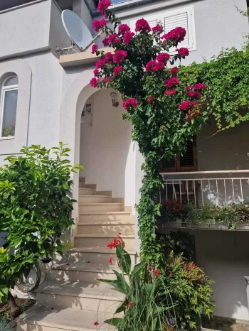 Apartmani Villa Ivanka - Baška Voda | Laganini.com