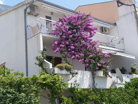 Appartements Dević Makarska, Croatie