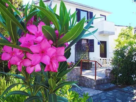 Apartmány Krk Krk - Krk, Chorvatsko