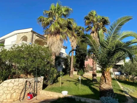 Apartmani Villa Sofija Vir, Hrvatska