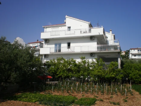 Apartments Maslina - Ciovo - Okrug Gornji | Laganini.com