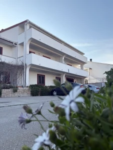 Apartments Šljivo - Pag - Pag | Laganini.com