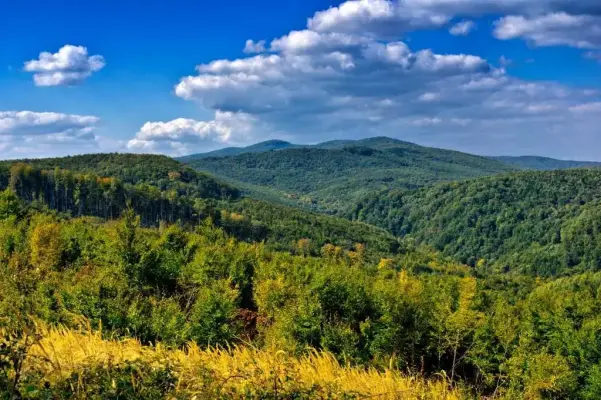 Turistične znamenitosti in zanimivosti v mestu Naravni park Papuk - Požega